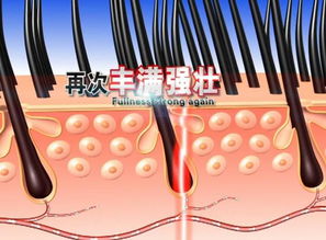 养发新科技，财富新机遇——热销头部SPA仪诚招代理，厂家直供，赋能创业